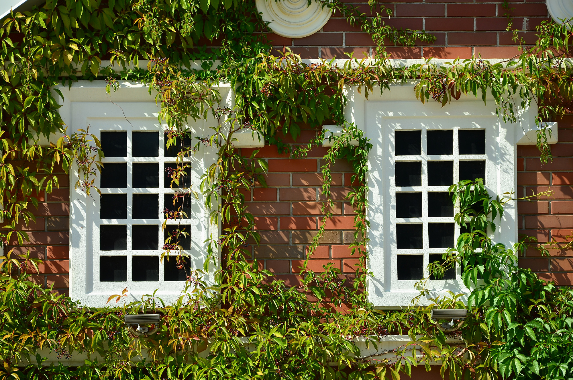windows in Hackney